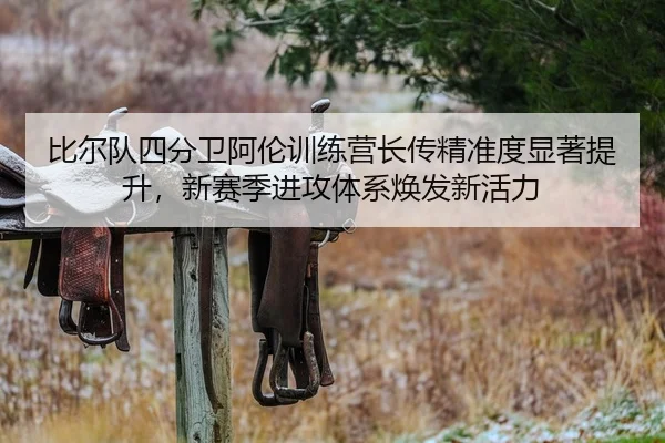 比尔队四分卫阿伦训练营长传精准度显著提升，新赛季进攻体系焕发新活力
